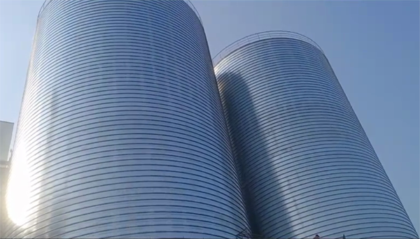 曹县2座混凝土高架卷板仓